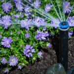 Распылители Hunter серии Pro-Spray, дождеватель hunter pros